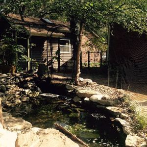 Meet your Posher, Judy